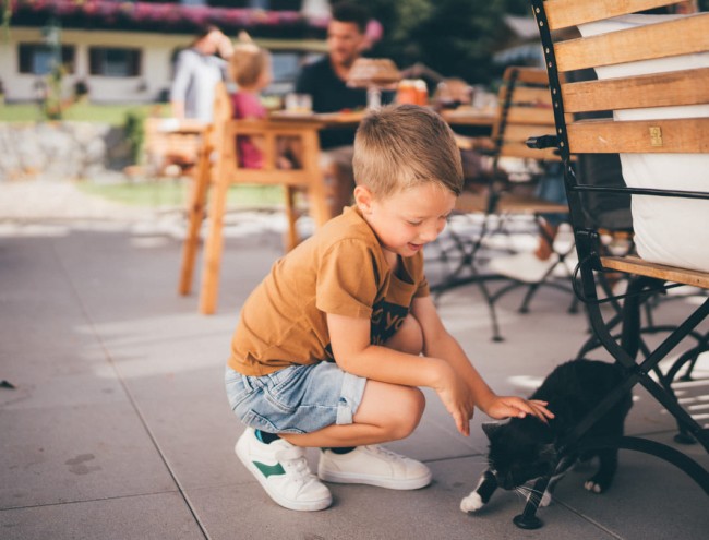 Bub streichelt unsere Katze © Lorenz Masser Fotografie
