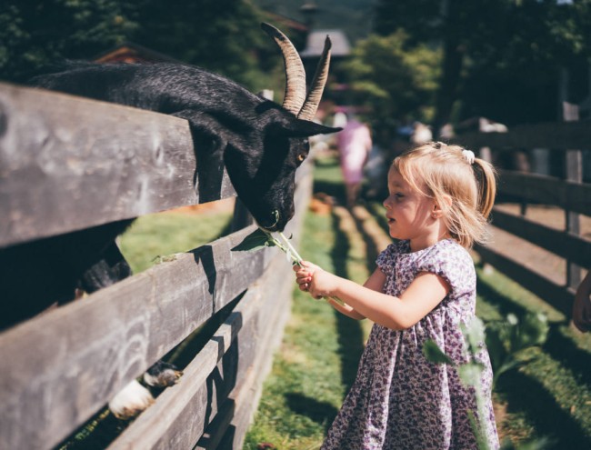 Kind streichelt unsere Ziege © Lorenz Masser Fotografie