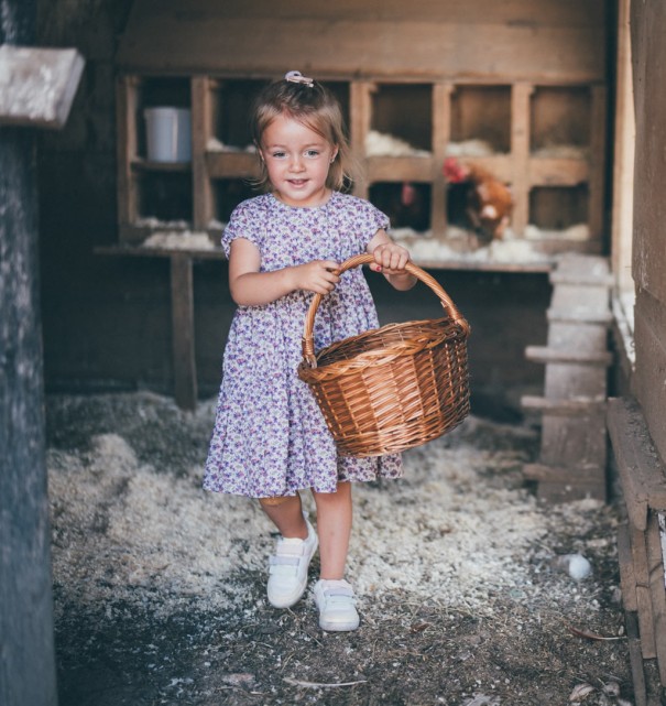 Eier von den Hühnern einsammeln © Lorenz Masser Fotografie