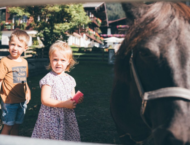 Kinder beim Pferde pflegen am Hof © Lorenz Masser Fotografie