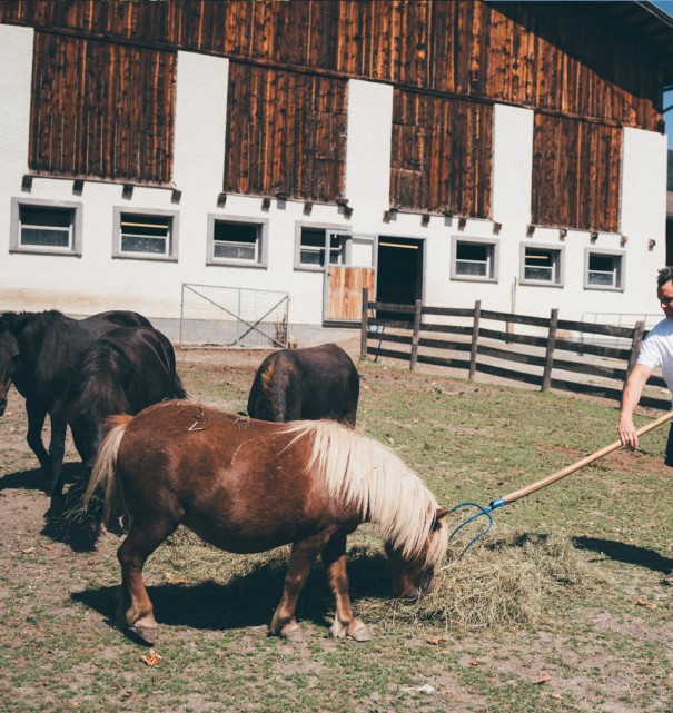 Pony füttern © Lorenz Masser Fotografie