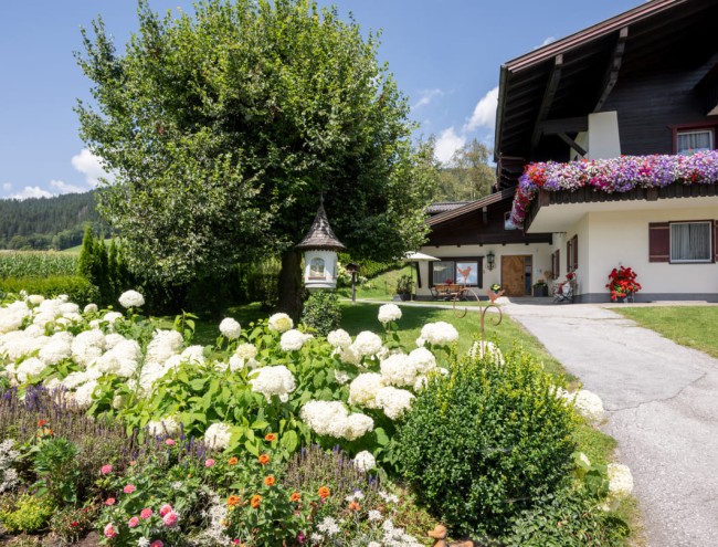 Unsere Blumen am Hof © Lorenz Masser Fotografie