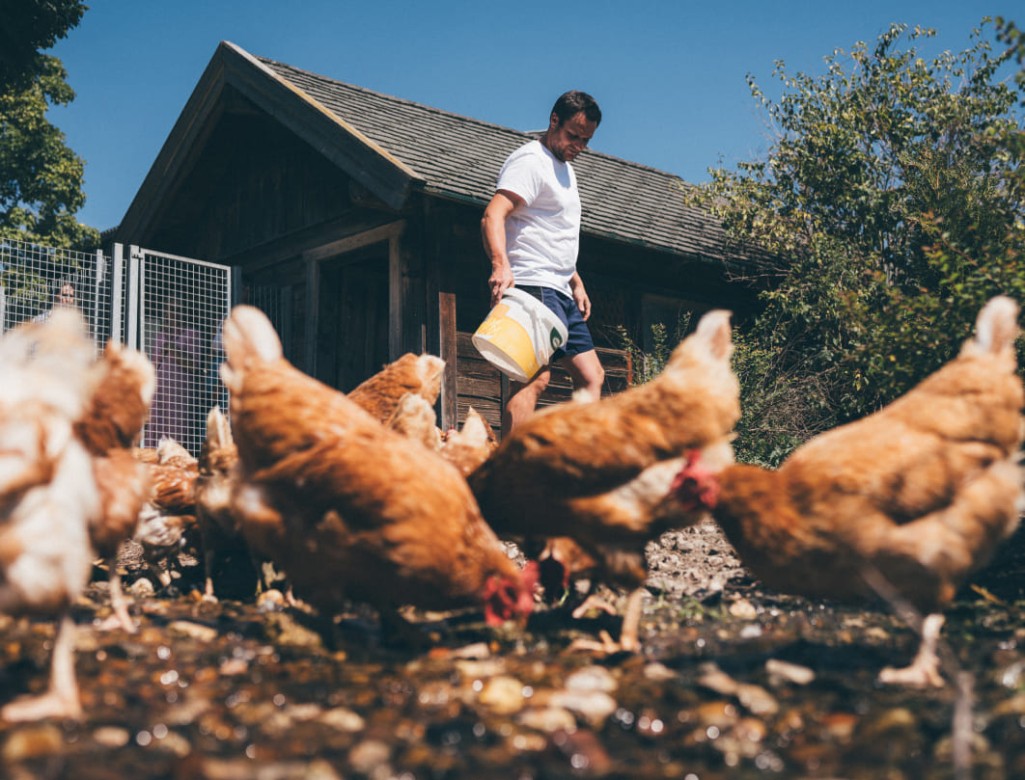 Man feeding chickens on a farm © Lorenz Masser Photography