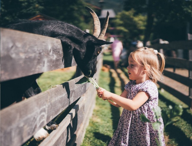 Girl feeding our goat © Lorenz Masser Fotografie