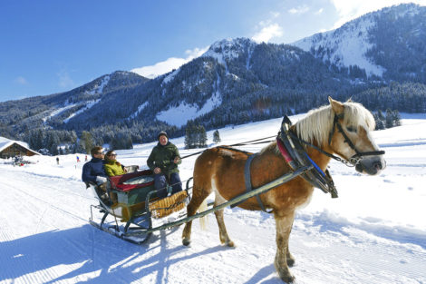 Winterurlaub & Skiurlaub am Obersulzberggut in Radstadt, Salzburger Land - Pferdeschlittenfahrt im Ski amadé